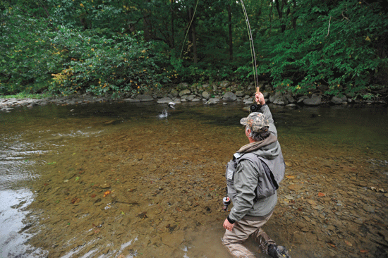 Hunting Great Lakes Steelhead on Dry Flies