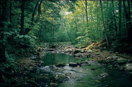 Exploring Vermont's White River