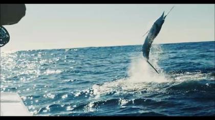 Costa Marlin Fly Project