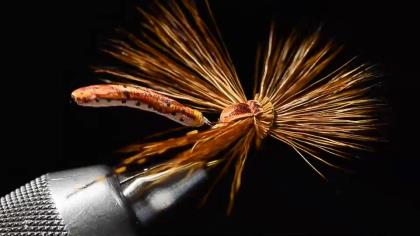 How to Tie Craven's Mr. Jones Dry Fly