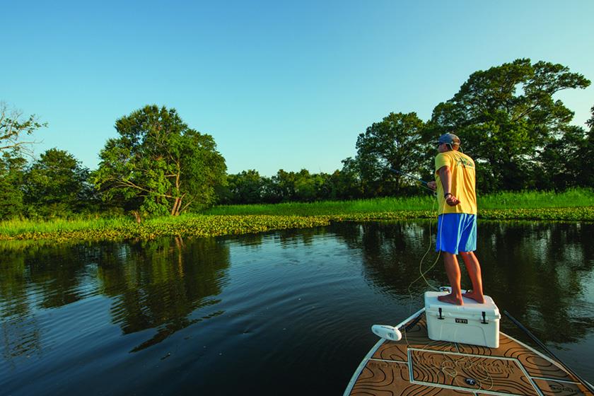Fly Fishing for Snakeheads - Where to Look