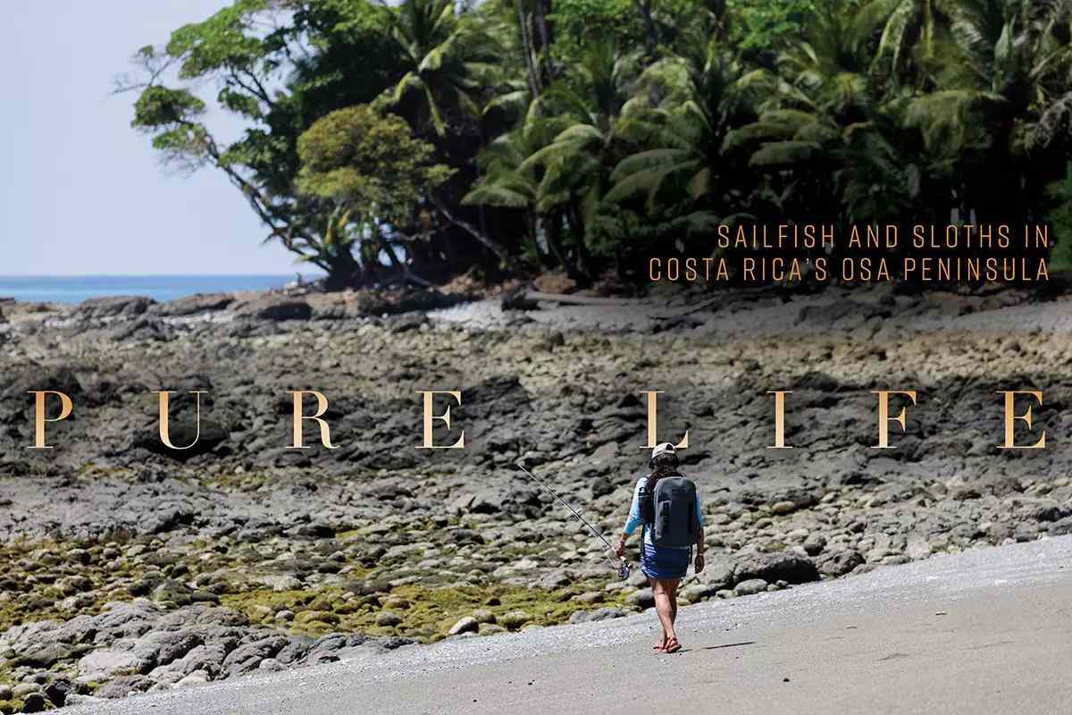Pure Life: Sailfish and Sloths in Costa Rica's Osa Peninsula