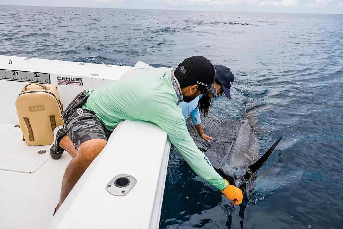 Two fly anglers leaning over the side of a boat in the ocean holding a sailfish.