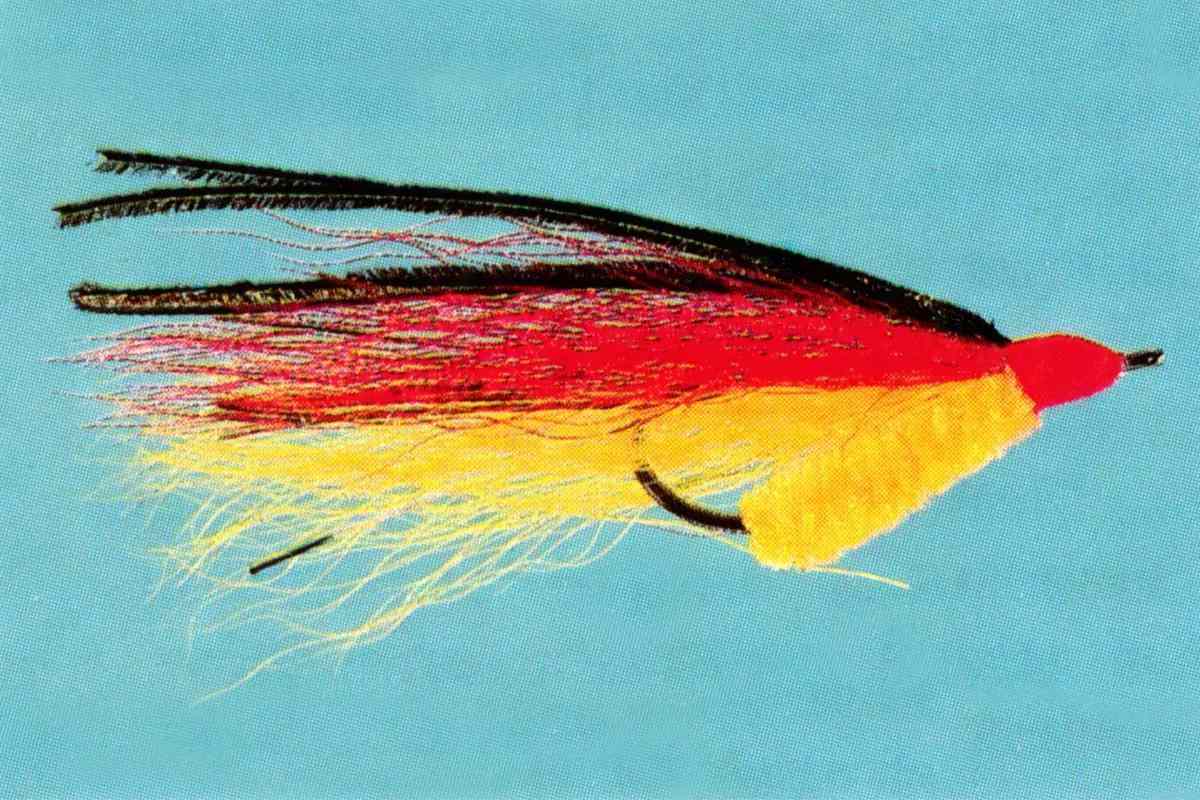 Studio photo of a black, yellow, and red streamer fly.