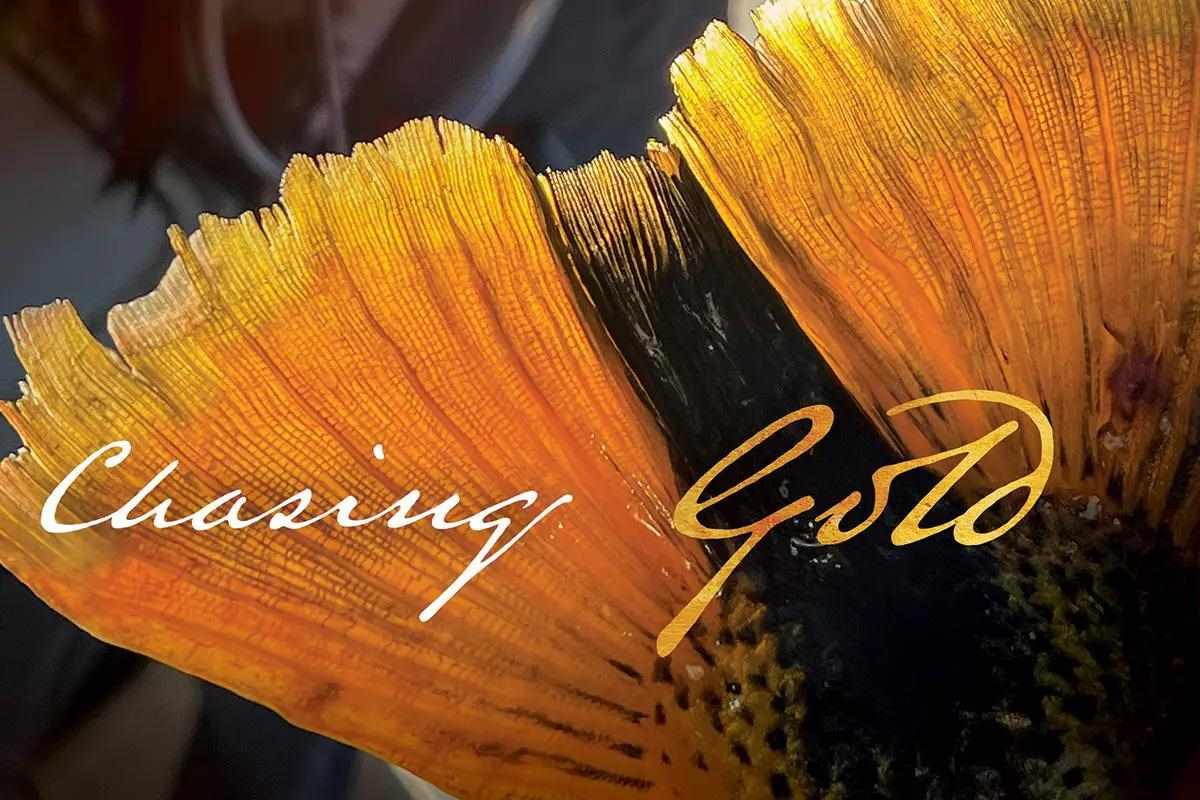 Chasing Gold: Predatory Encounters in the Iberá Marsh and Upper Rio Paraná