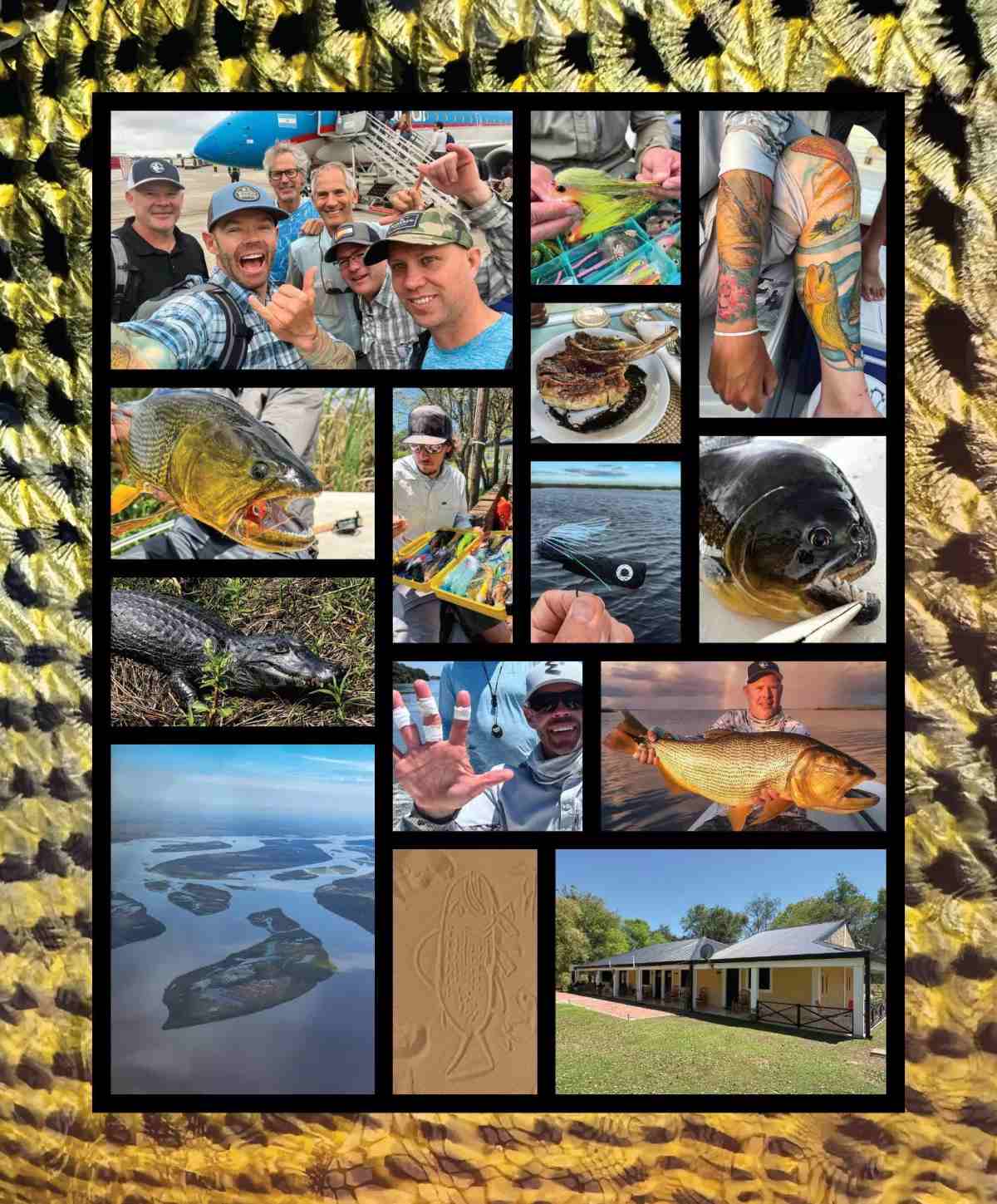 Collage of golden dorado fishing and lodge images. 