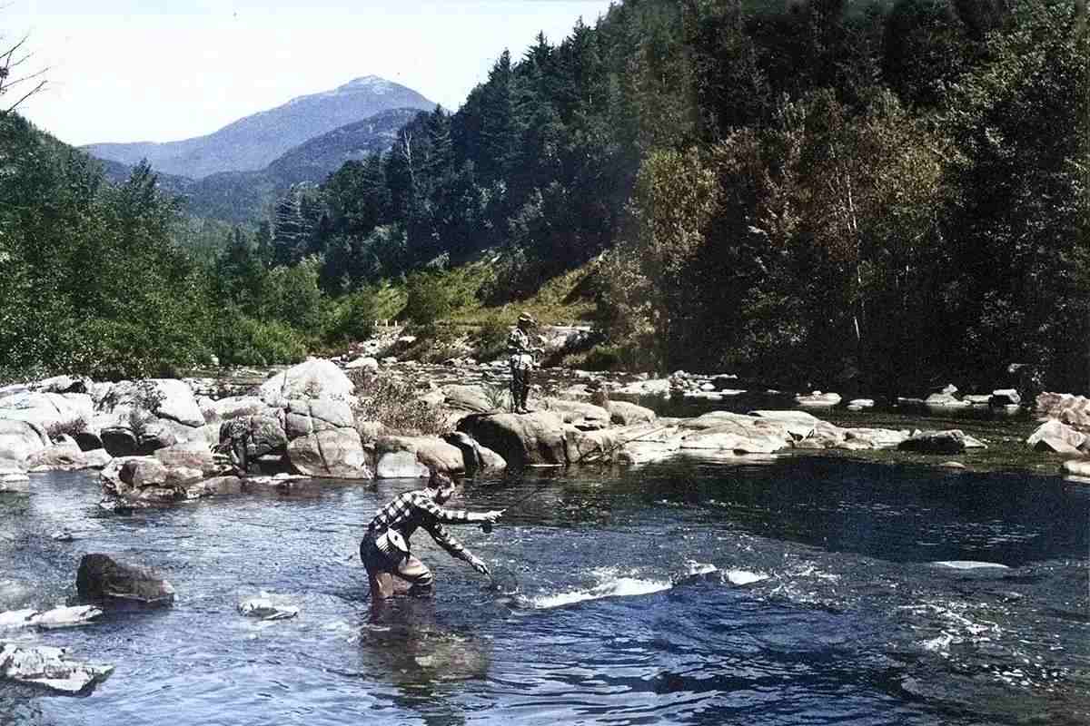 Fly Fisherman Throwback: A Primer of Stream Entomology–VII