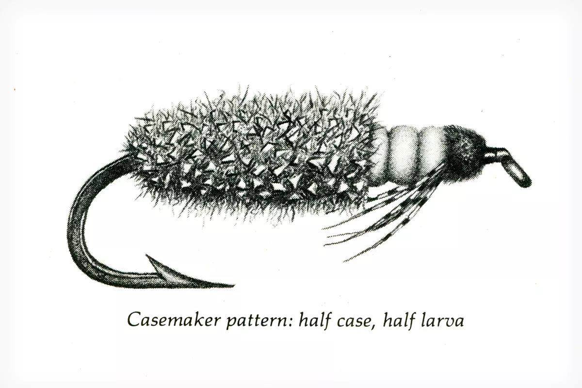 A pencil drawing of a cased caddis fly.