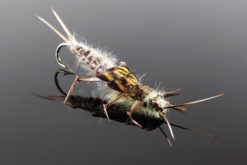 50 Most Influential Fly Fishers