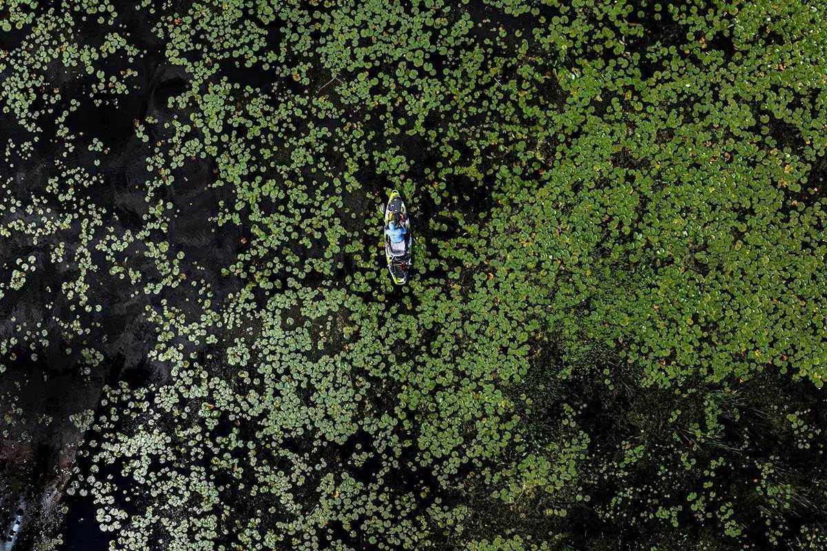 A drone photo from directly overhead showing a kayak in the middle of lily pads.