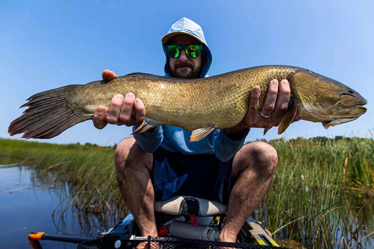 Summer Bowhunting Season: How to Fly Fish for Bowfin