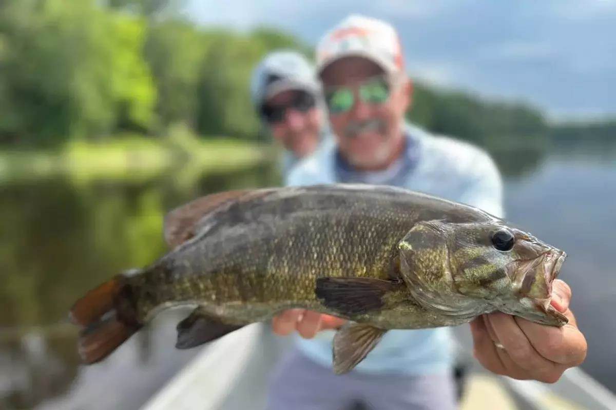 Are Smallmouth Better than Trout?