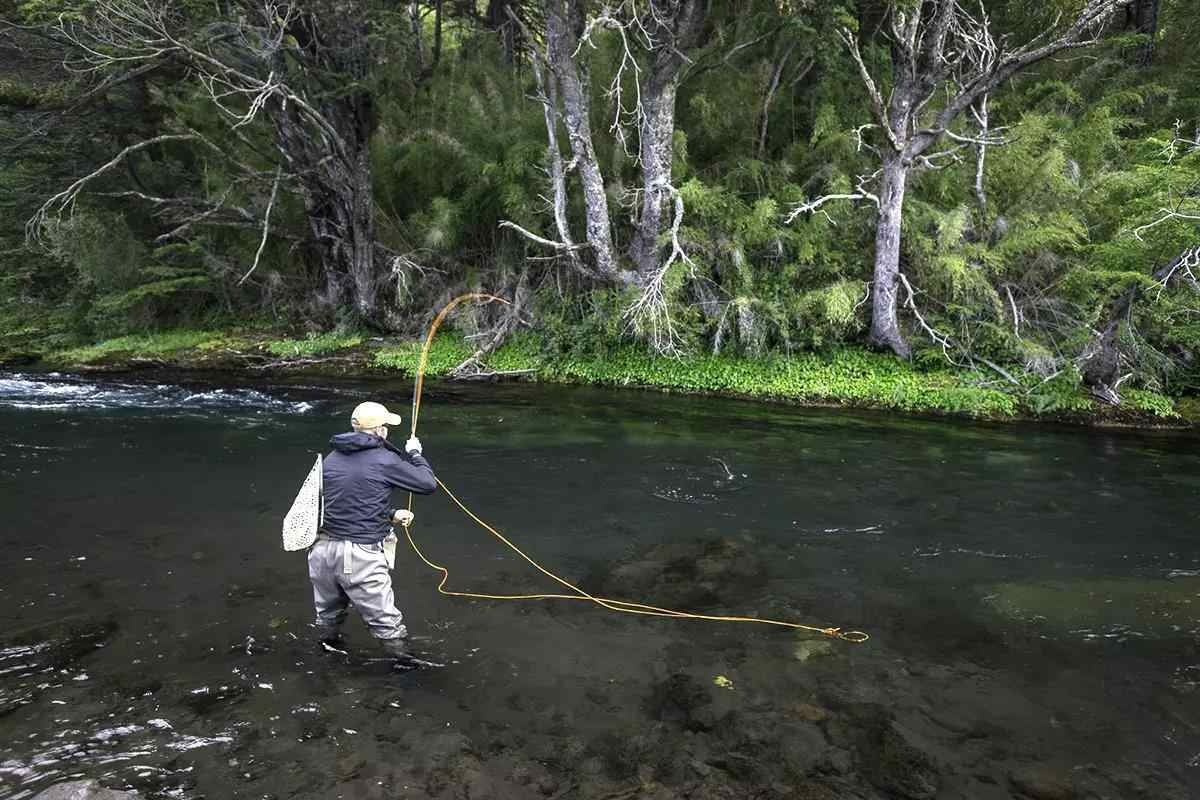 A fly wading knee-deep in a small stream fighting a fish.