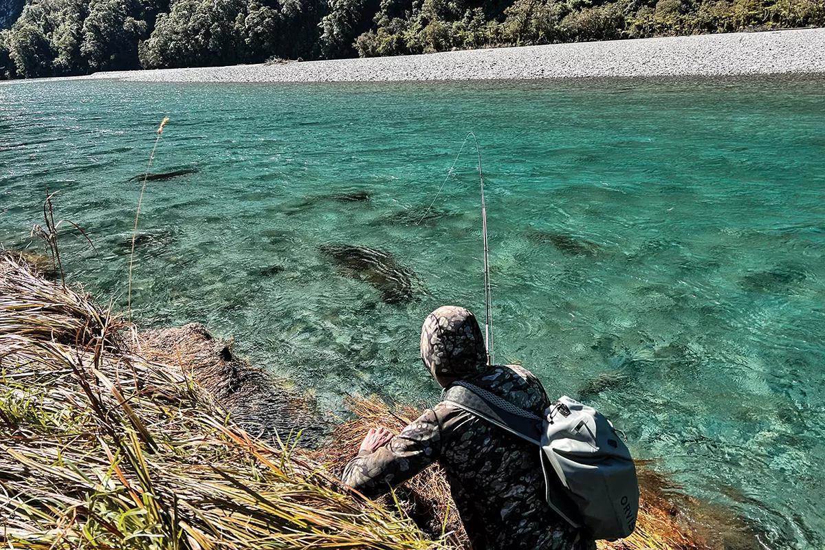 A fly angler on a grassy bank fighting a fish in clear blue water.
