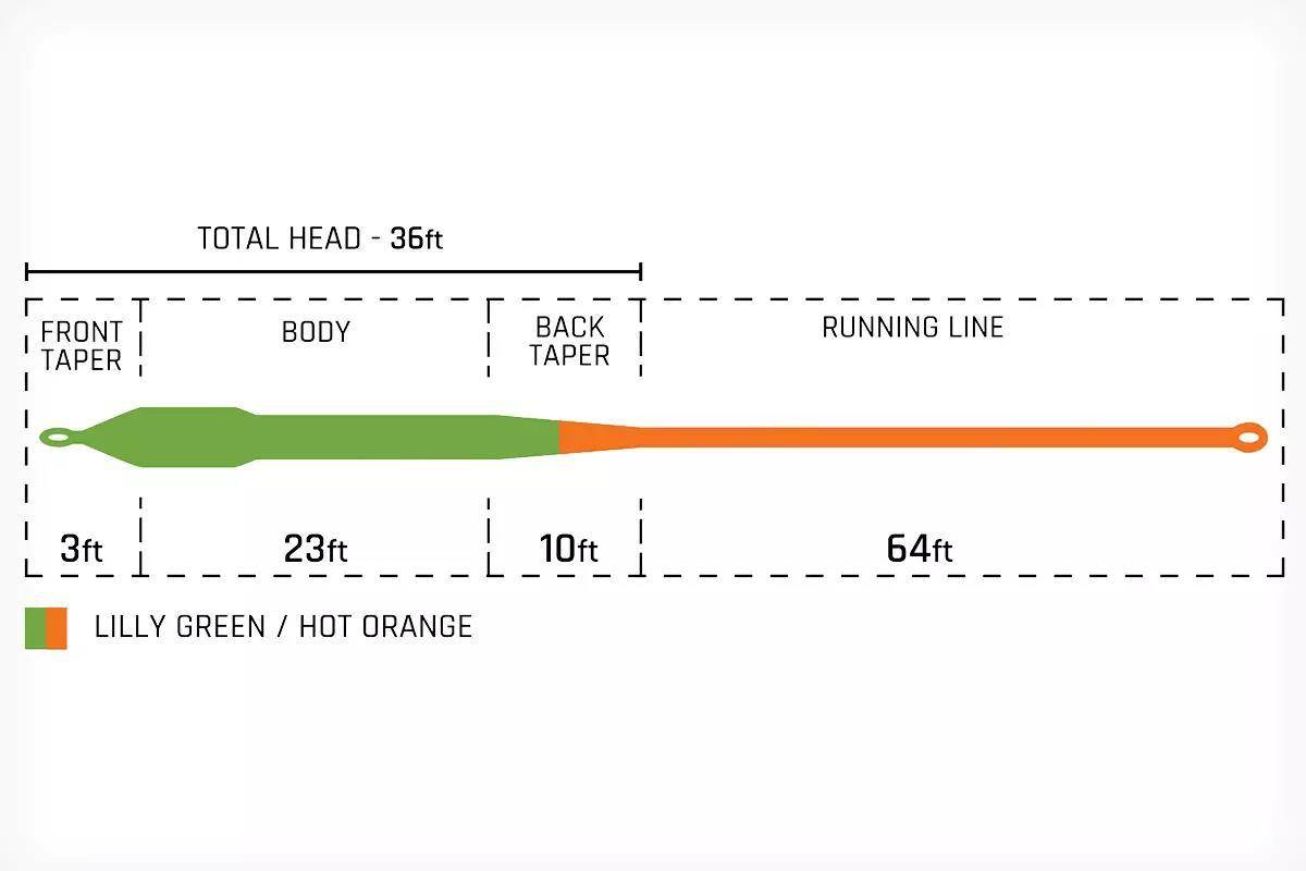 A diagram of a fly line.