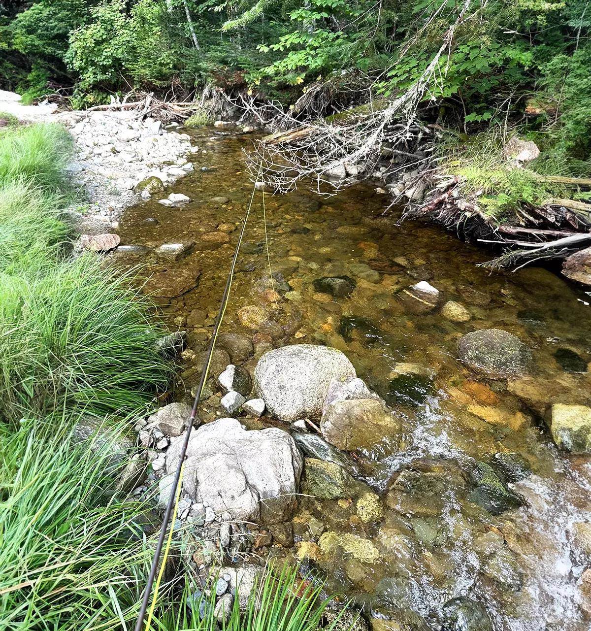 A fly rod dangling its fly line into a small mountain stream.