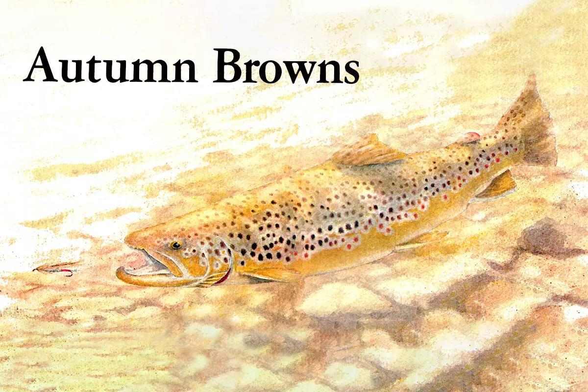 Fly Fisherman Throwback: Autumn Browns