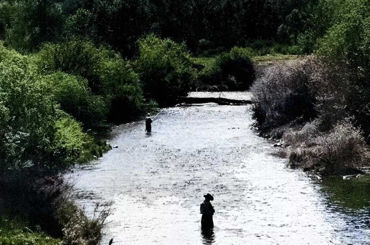 Two silhouetted anglers wading in a narrow, willow-choked stream. 