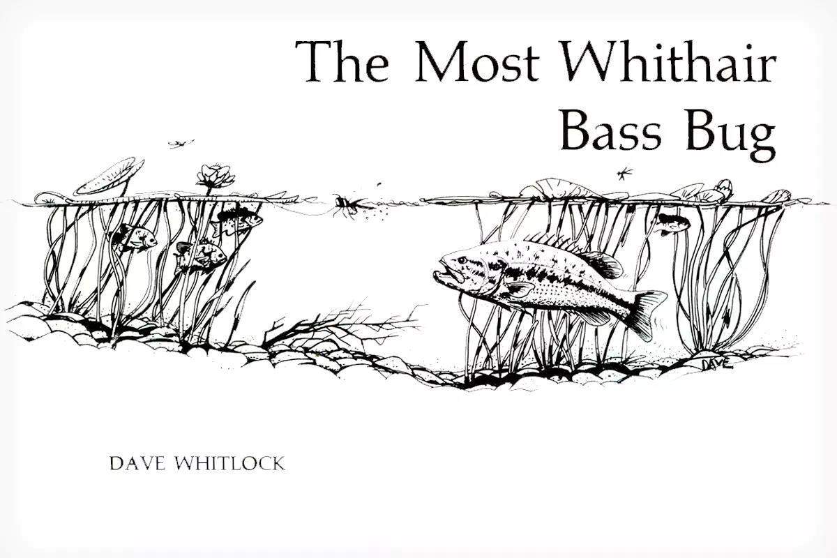 Fly Fisherman Throwback: The Most Whithair Bass Bug