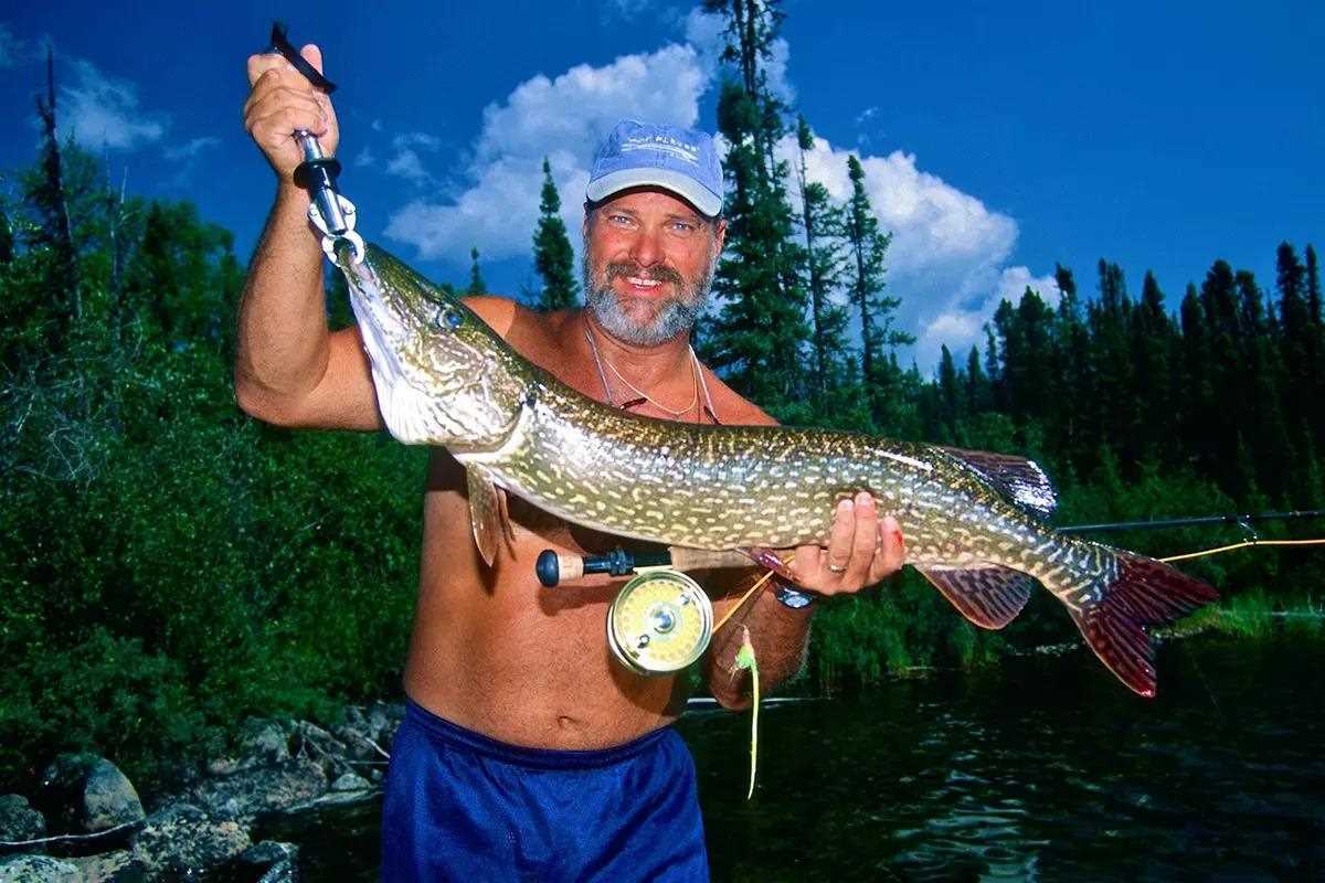 Bob Popovics holding a northern pike and fly rod, shirtless. 