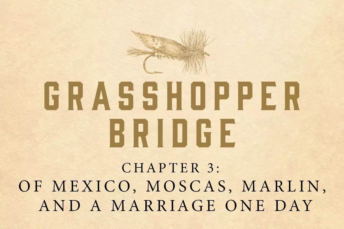 Grasshopper Bridge, Chapter 3: Of Mexico, Moscas, Marlin, and a Marriage One Day 