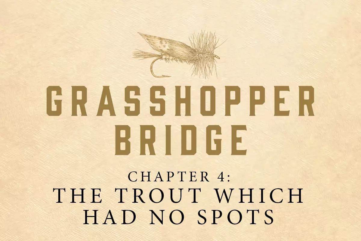 Grasshopper Bridge, Chapter 4: The Trout Which Had No Spots