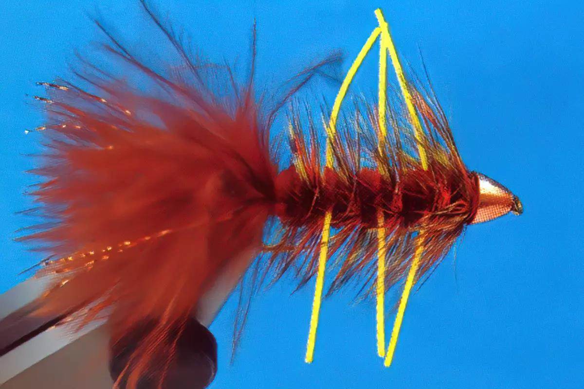 A rusty brown Woolly Bugger variation with yellow rubber legs, in a vise.