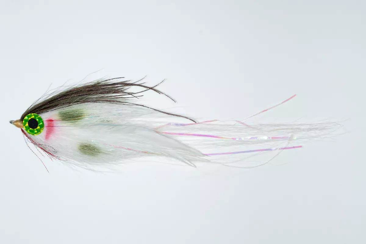A striped bass fly on a white background.