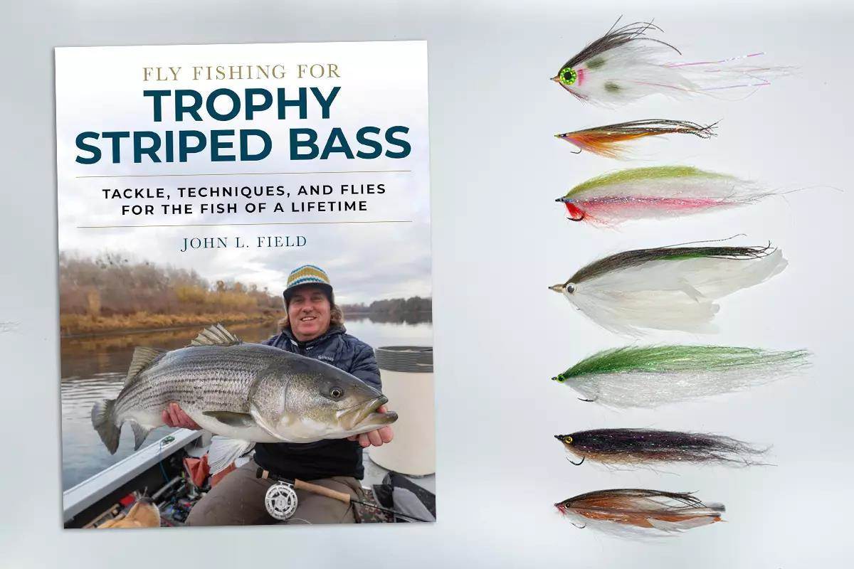 The Evolution of Striped Bass Flies