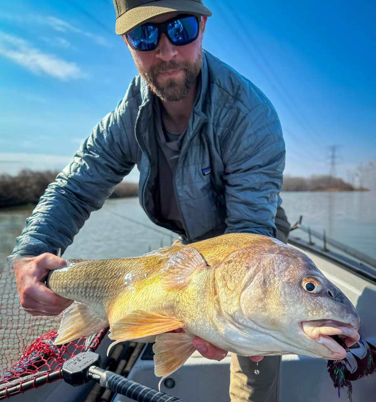 A fly angler in a blue jacket holding a large freshwater drum for the camera, standing in a boat on a lake.