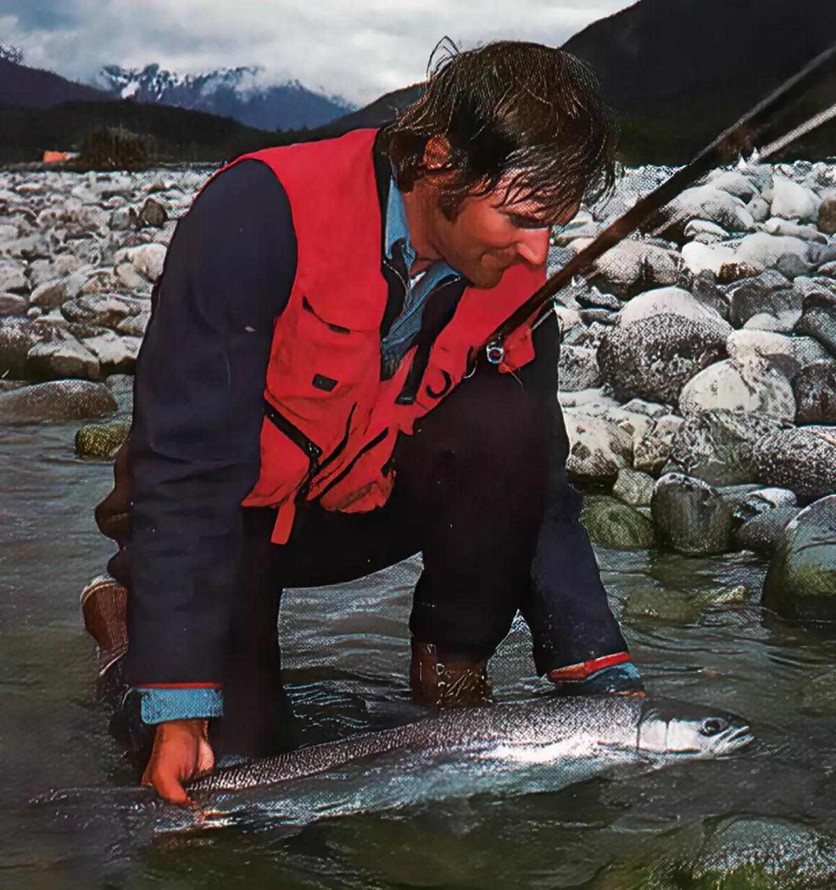 A fly angler kneeling on near the banks of a rocky river, admiring a steelhead in the shallows. 