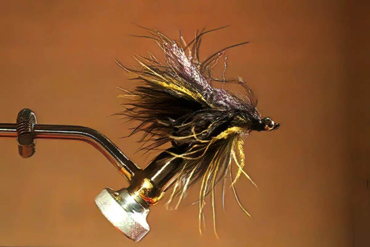 A leech fly in a vise.