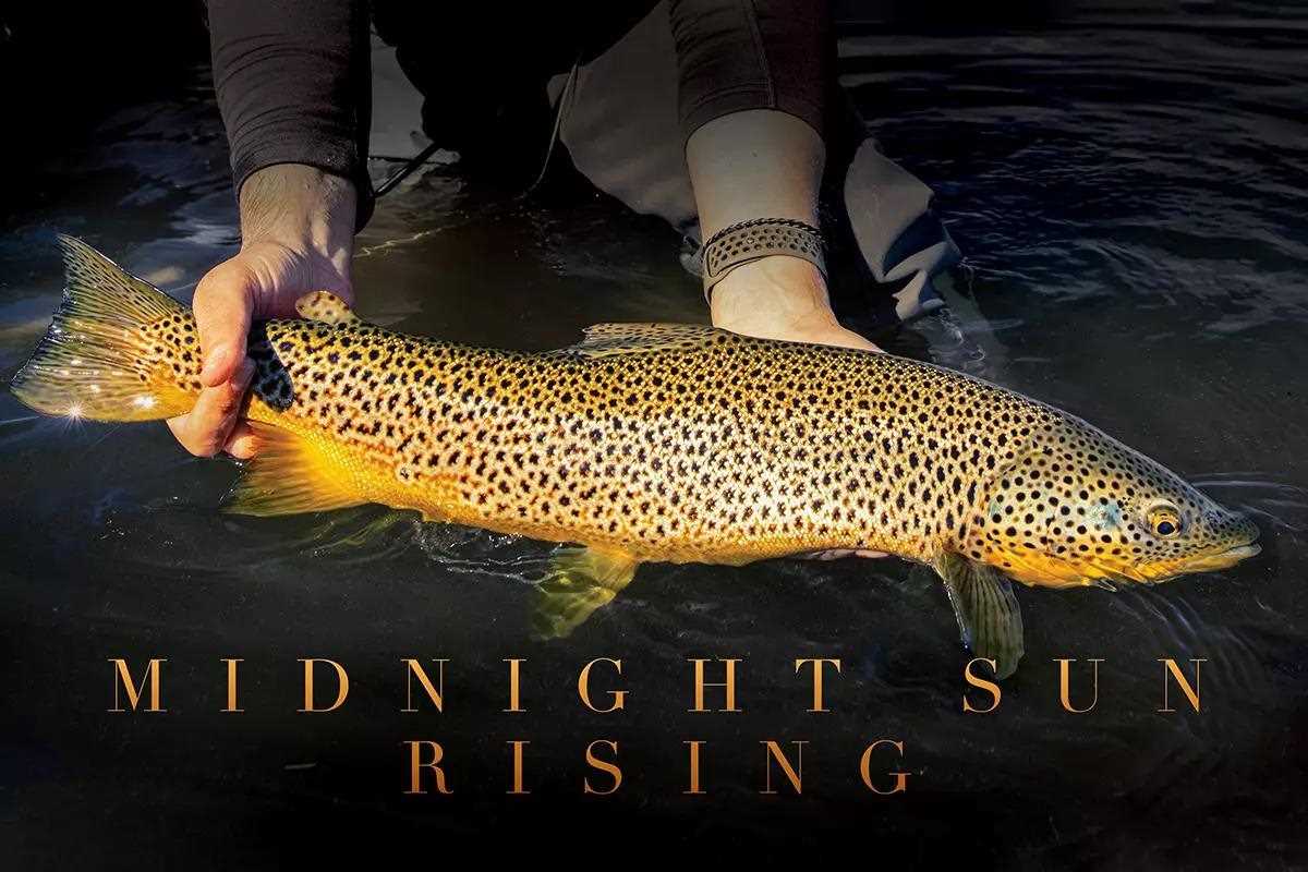 Giant Native Brown Trout in Iceland's Largest Lake
