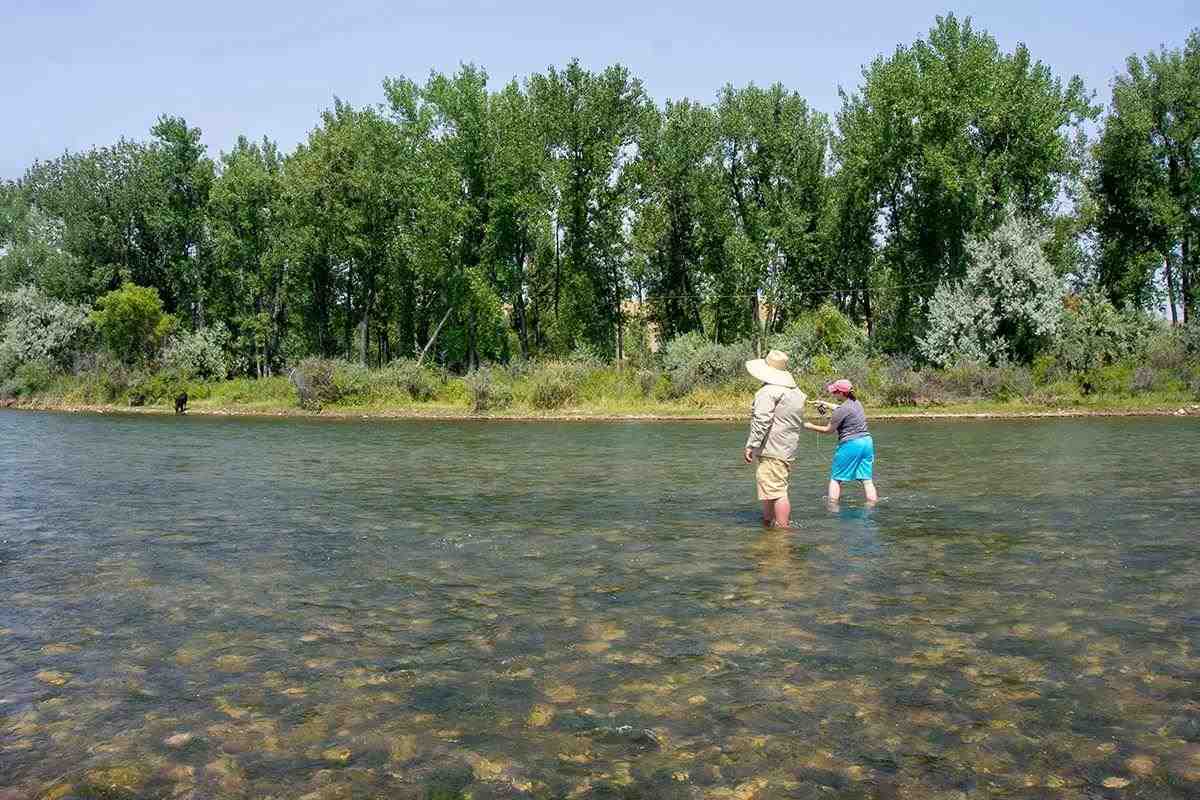 A fishing guide and angler wading ankle deep casting at trout. 