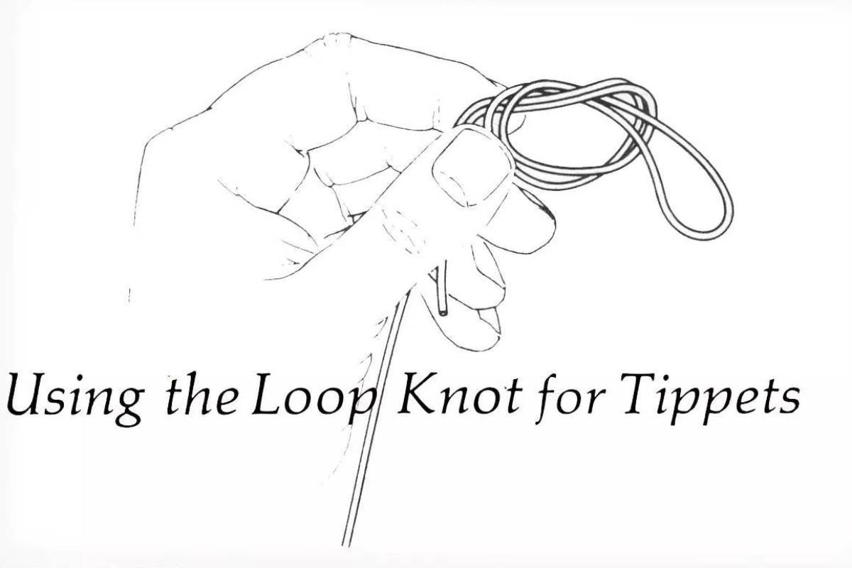 Fly Fisherman Throwback: Using the Loop Knot for Tippets