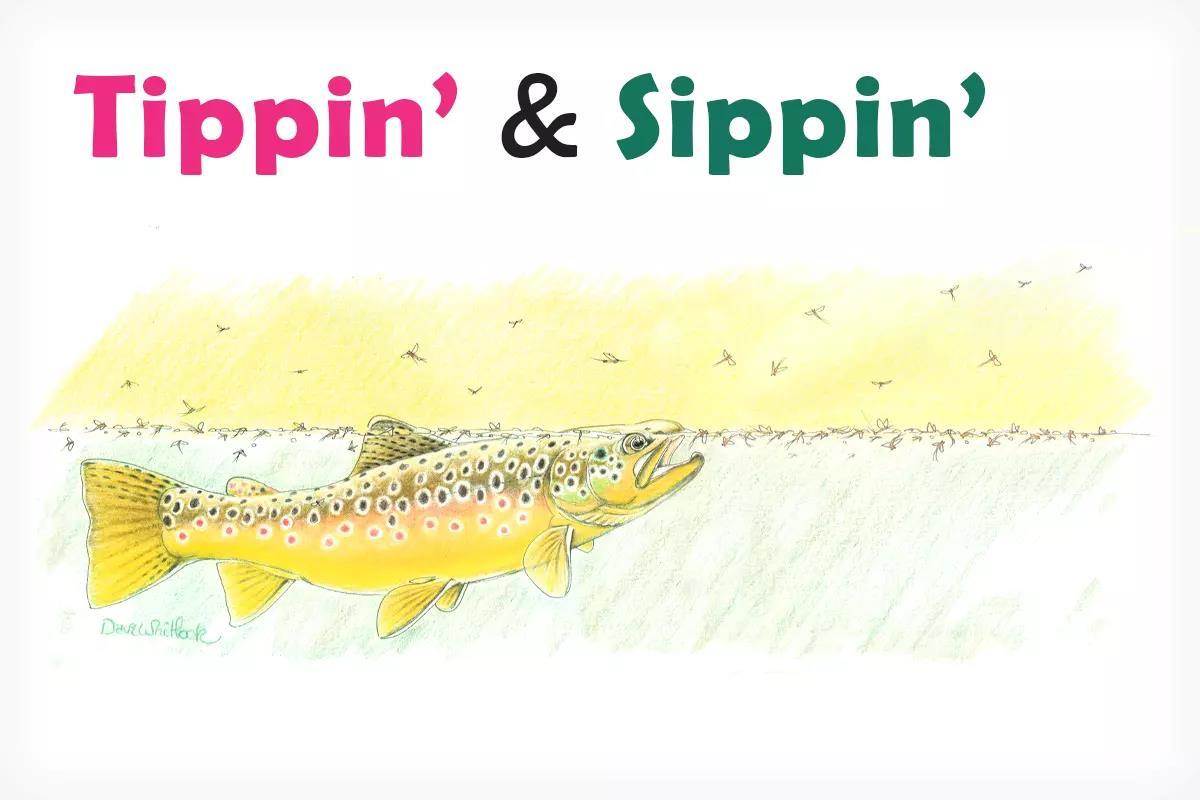 Tippin' & Sippin': Understanding Trout Feeding Patterns
