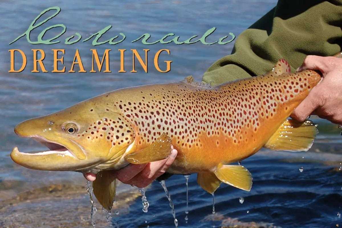 Colorado Dreaming: South Park's All-Season Playground