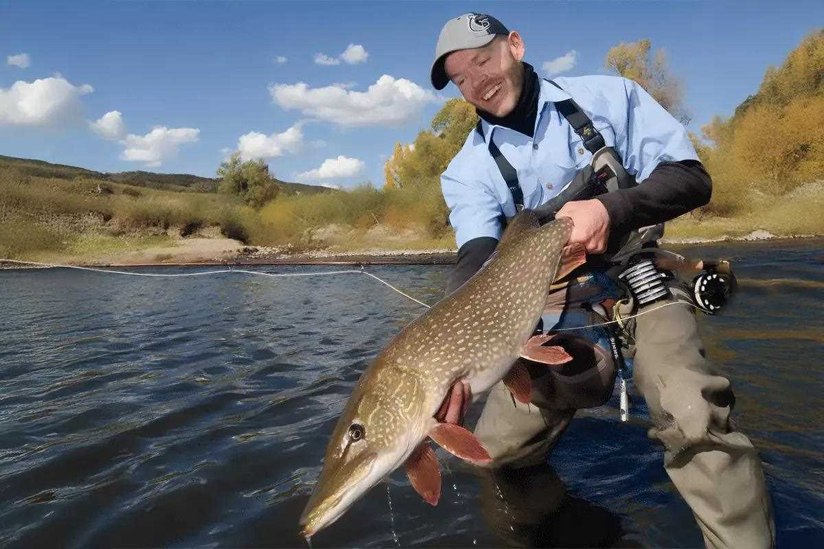 The Art of the Chase: Reading Water and the Retrieve for Predatory Fish