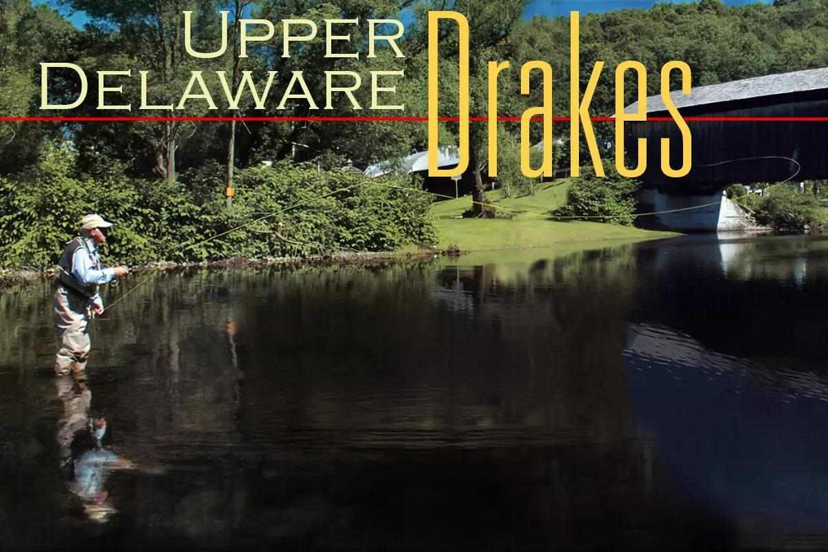 Upper Delaware Drakes: The Things Fly Anglers Dream About