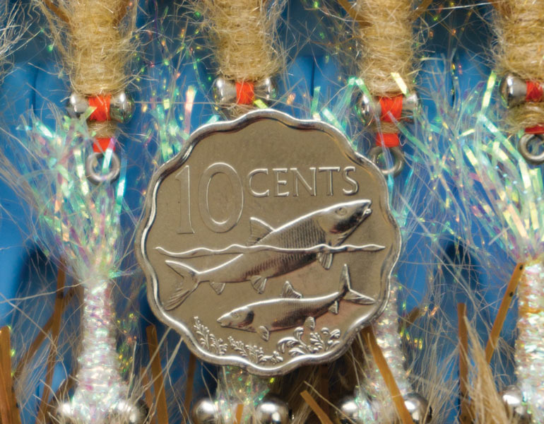 //content.osgnetworks.tv/flyfisherman/content/photos/Bahamas-Coin2.jpg