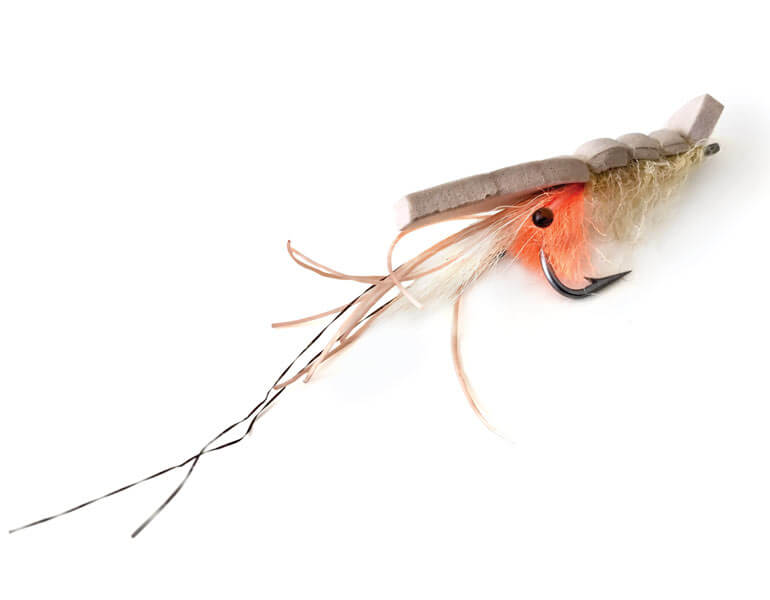 //content.osgnetworks.tv/flyfisherman/content/photos/Bonefish-surface-fly.jpg