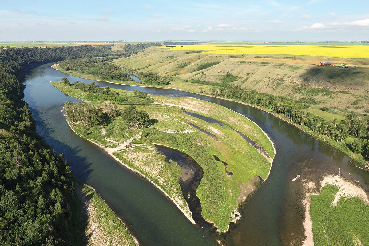 Fly Fishing Alberta's Bow River