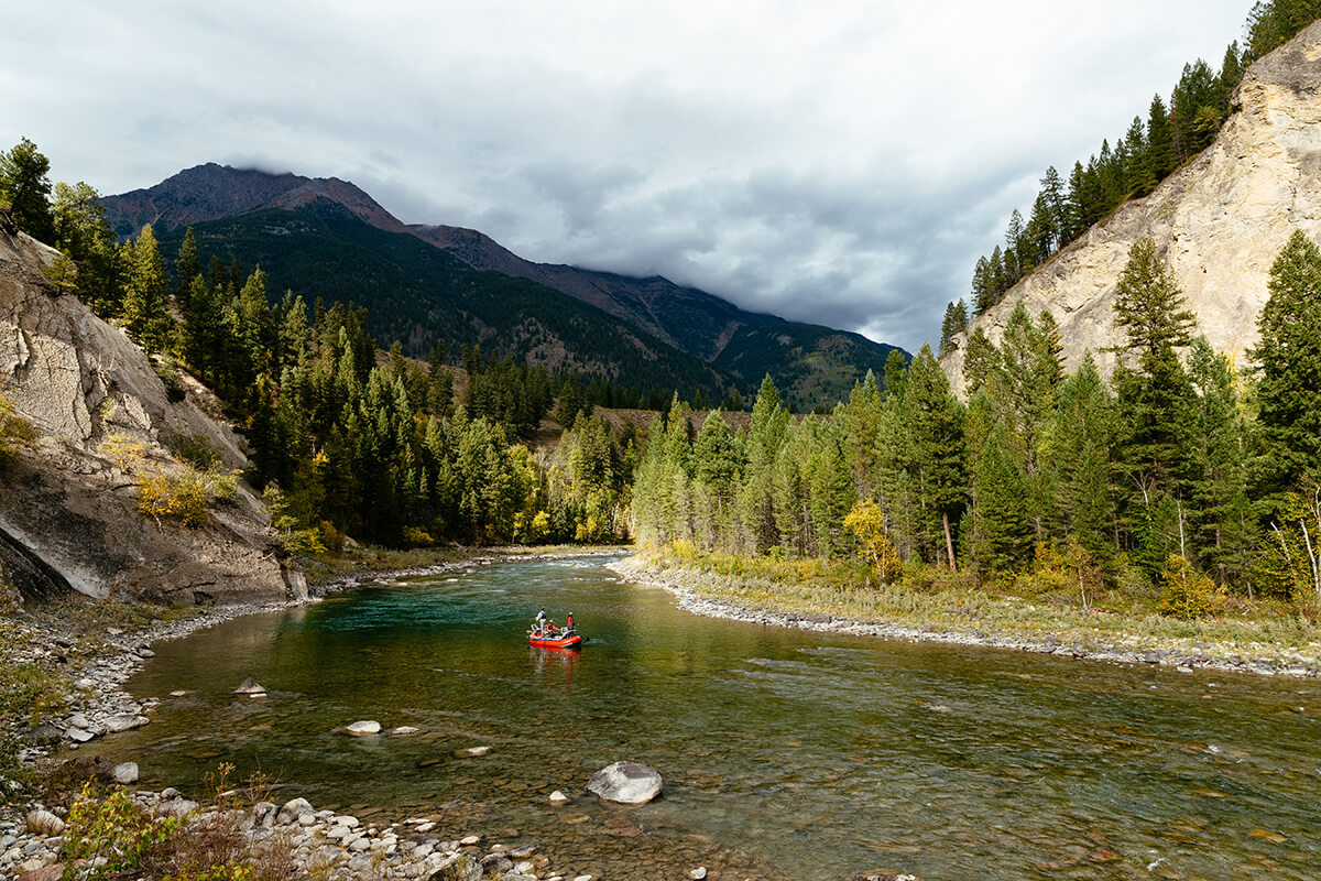 British Columbia's Elk River Bull Trout