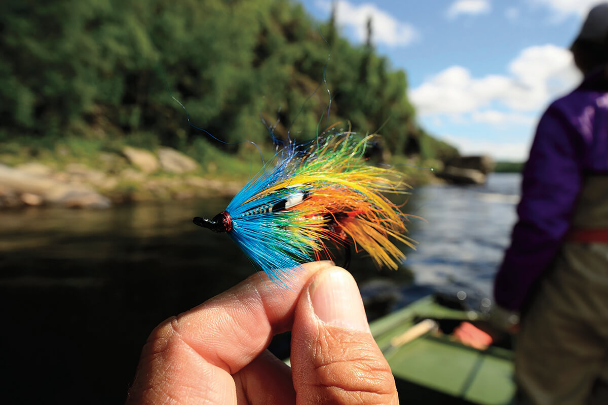 a colorful salmon fly held in a hand