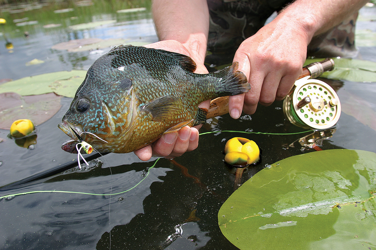 Little Tigers, Big Fun: The 10 Best Panfish Flies
