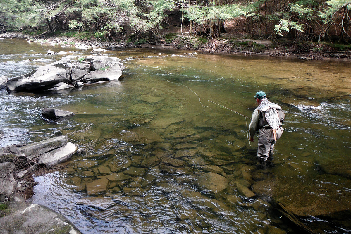 Master the Surface: Your Guide to Dry-Fly Fishing