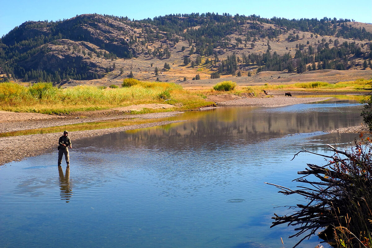 Dry-fly fishing basics, casting position