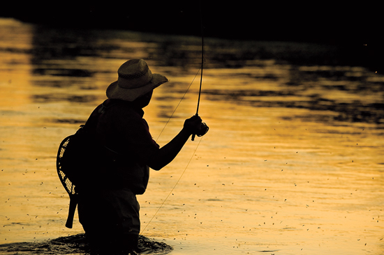 Two Caddis Patterns for Every Situation