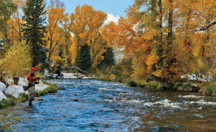 FlyFisherman Photo FFMP-160300-DOWN-01 23175 Two-fly Rigs