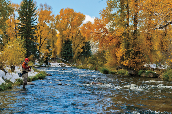 FlyFisherman Photo FFMP-160300-DOWN-01 23175 Two-fly Rigs